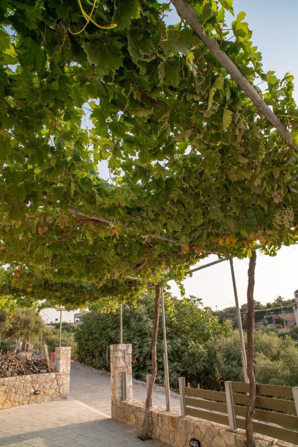 Hello Village Chania Sfakianalion Exterior photo